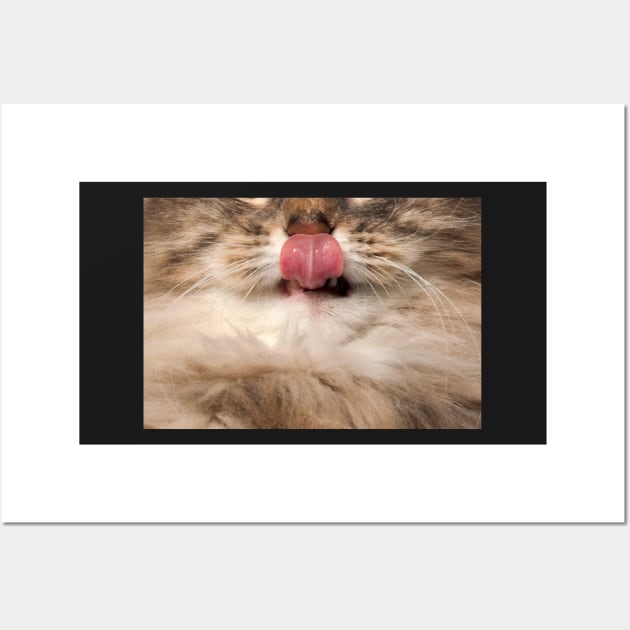 Cat Showing Tongue - Funny Face Wall Art by hipstuff